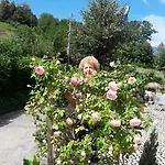 Casa Rosetta Mel